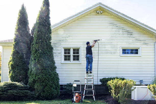 Best House Pressure Washing  in Zilwaukee, MI